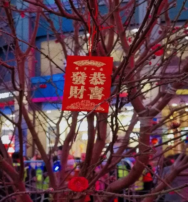我所四名同事的(de)作品入選市注協2023年新春攝影(yǐng)作品展 我所四名同事的(de)作品入選市注協2023年新春攝影(yǐng)作品展