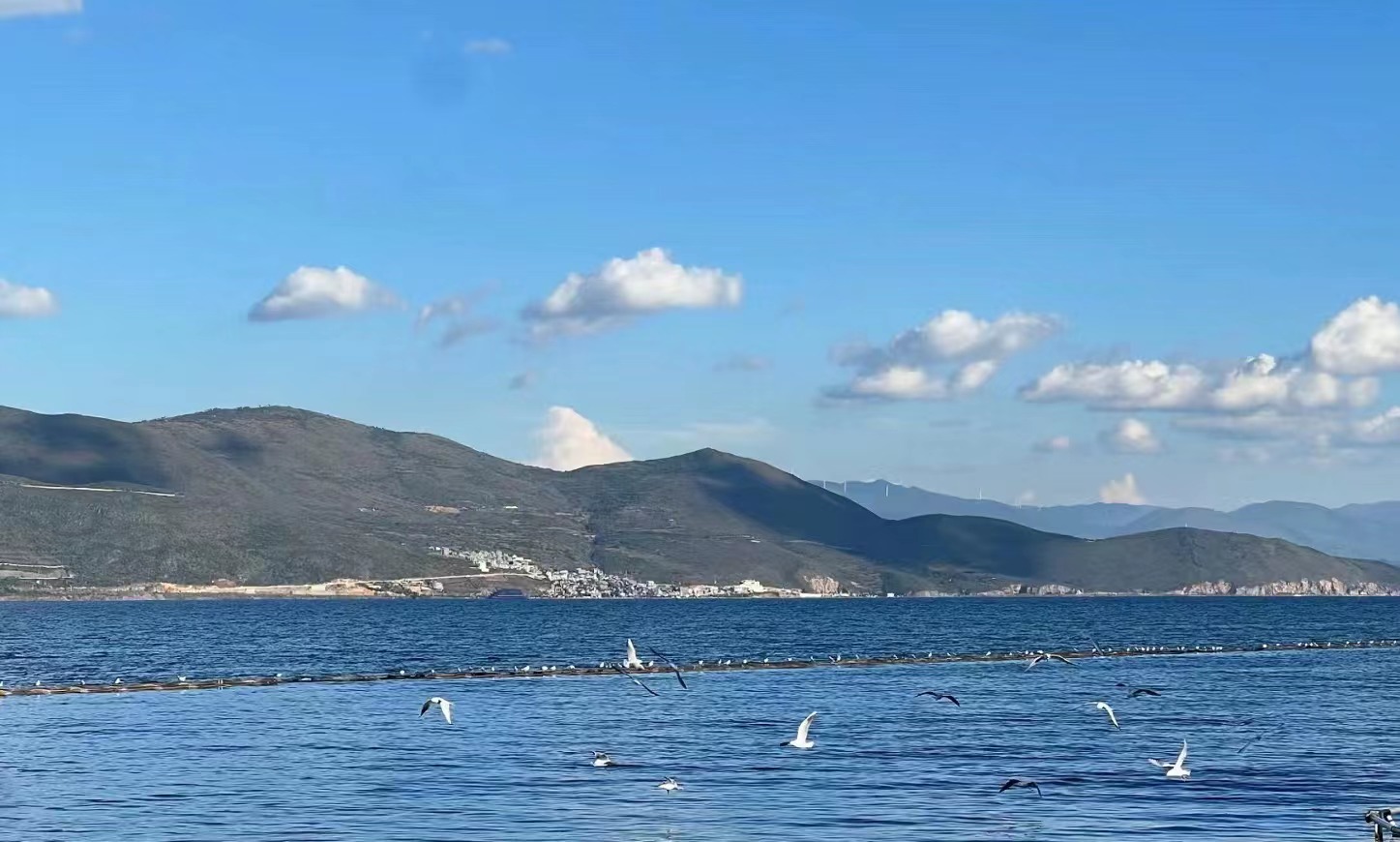 展現中海之歡樂(yuè),奔赴海粵之未來(lái) ——廣東肇達稅務師事務所有限公司梅州分公司2023年度公司旅遊報道 展現中海之歡樂(yuè),奔赴海粵之未來(lái) ——廣東肇達稅務師事務所有限公司梅州分公司2023年度公司旅遊報道